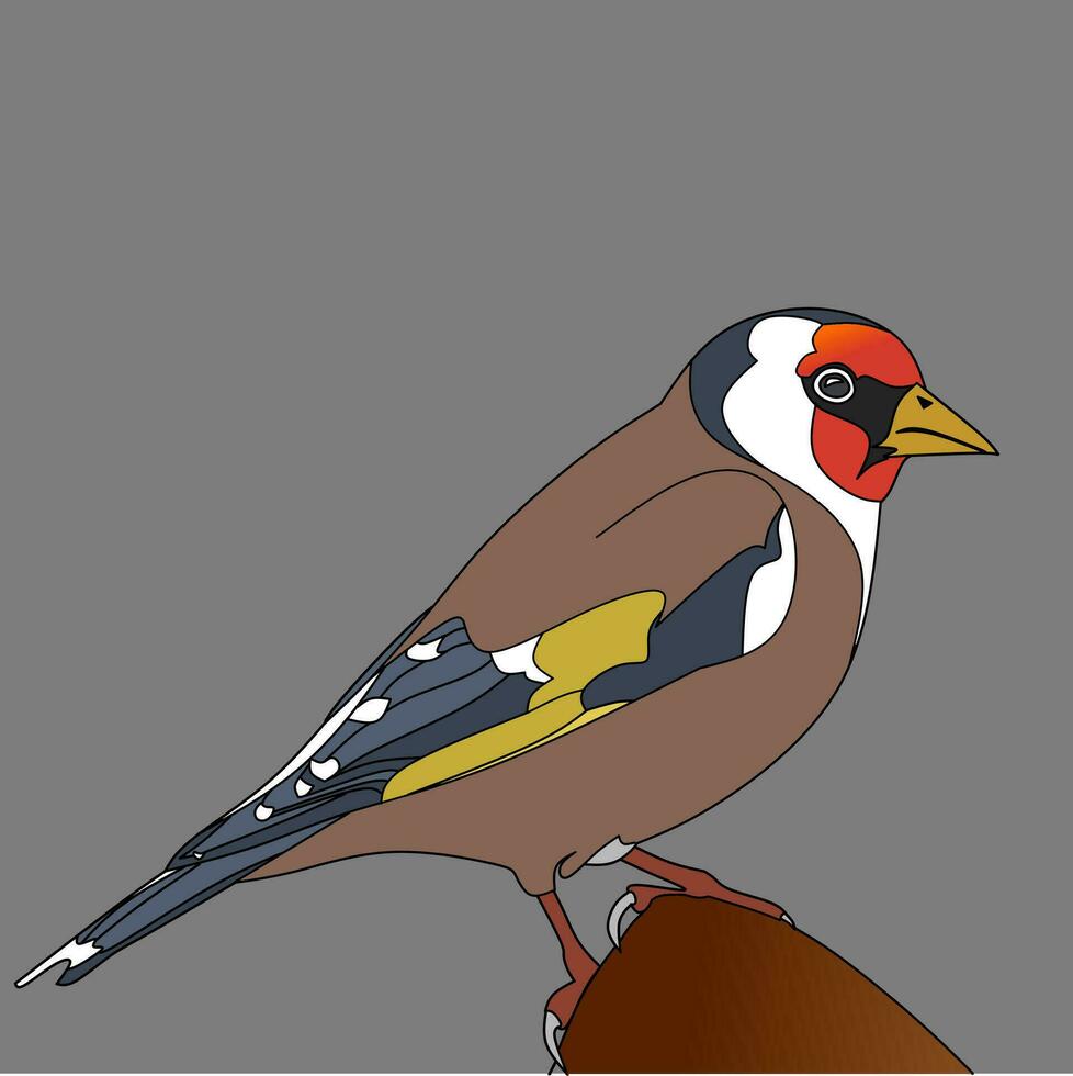 Vector the goldfinch is a highly coloured finch with a bright red face and yellow wing patch