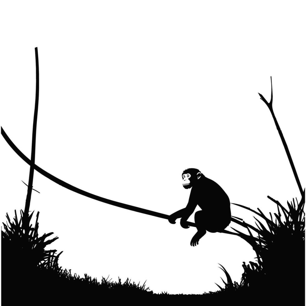 Monkey silhouette hanging on wire isolated on white background vector