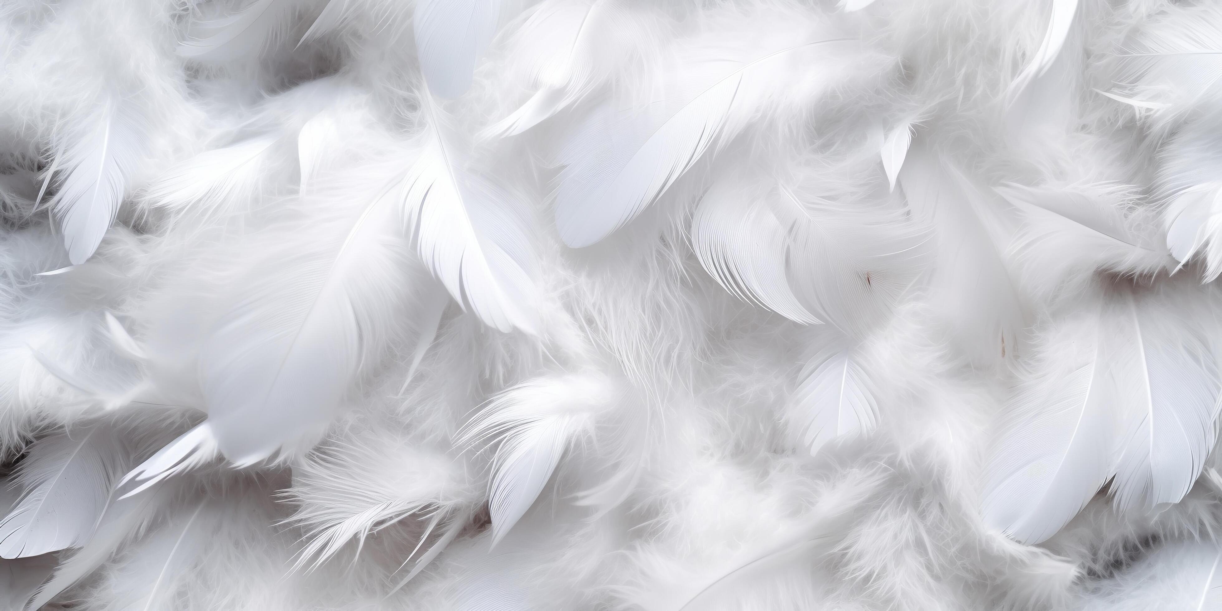 Close Up White Feathers Luxury Background 25374767 Stock Photo At Vecteezy Close Up White Feathers Luxury Background Ai Generated Free Photo