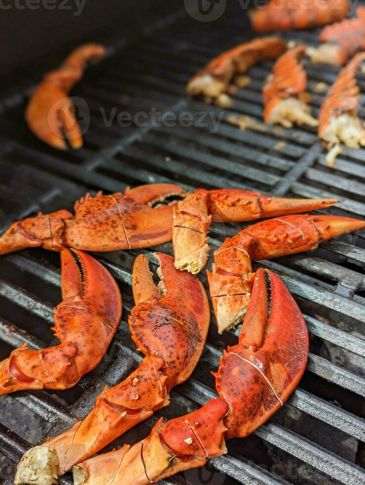 huge lobster claws on grill for dinner and for shrimp boil photo
