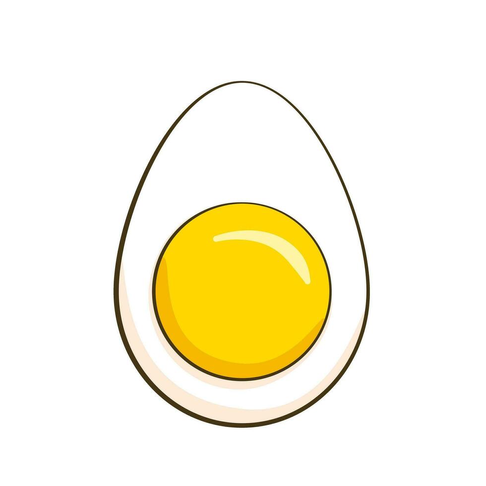 Half of chicken egg. Cartoon vector