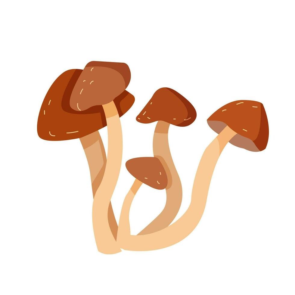 Mushrooms plants. Realistic natural foods vector