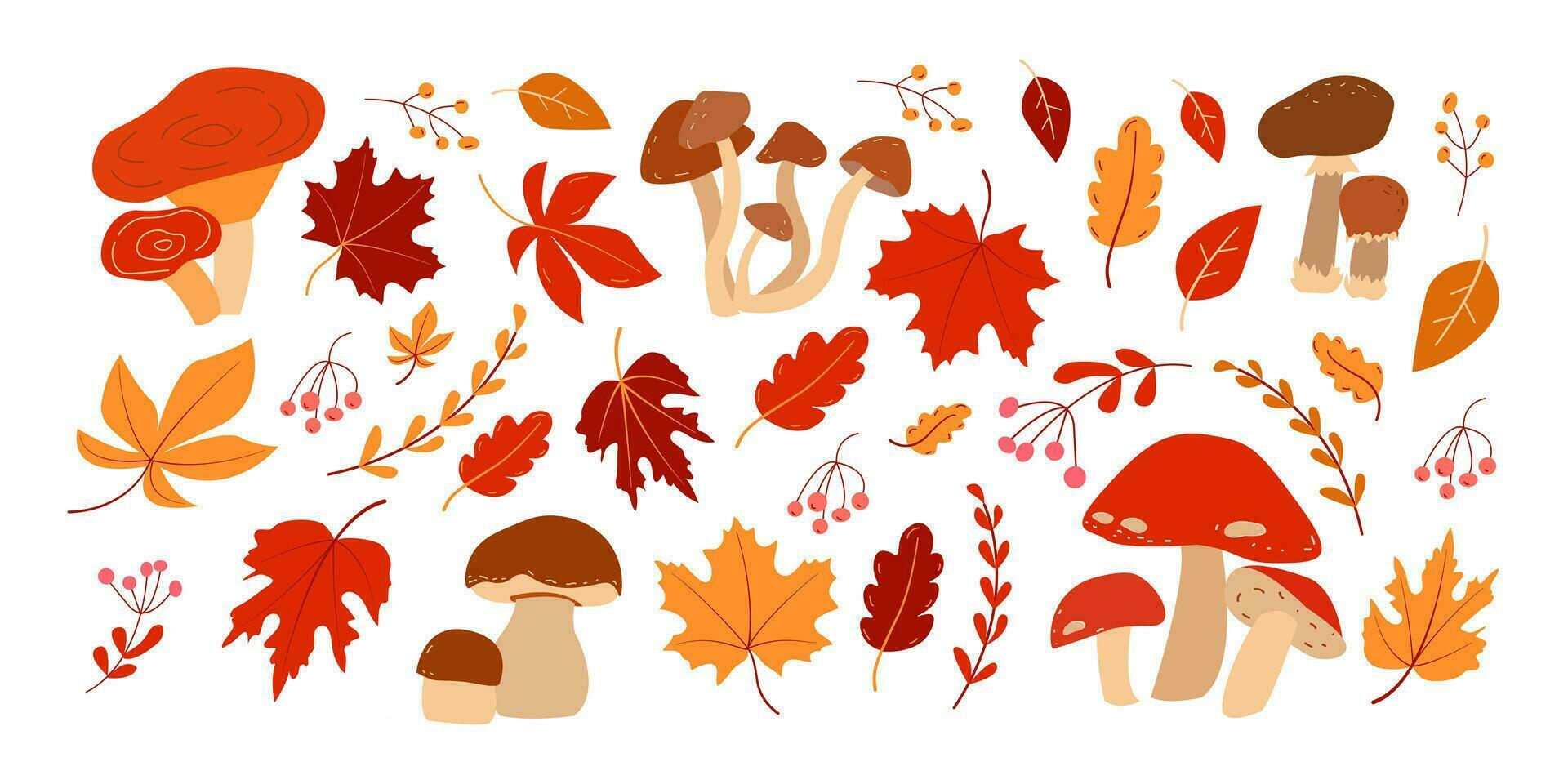 otoño ilustración conjunto con hongos y hojas en blanco antecedentes. contento cosecha. vector