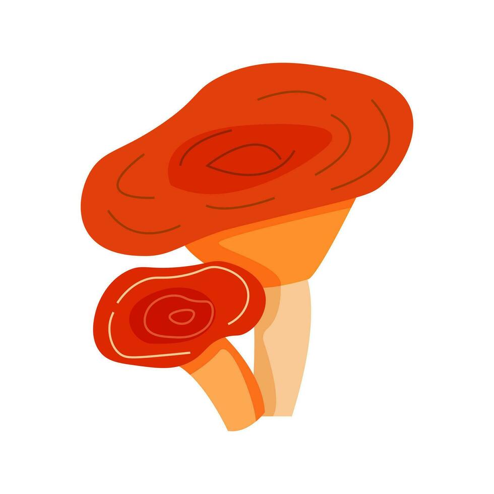 Mushrooms plants. Realistic natural foods vector