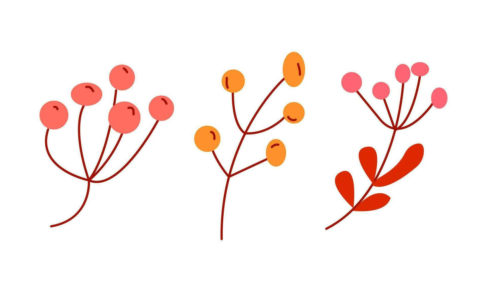 Collection of autumn berries vector