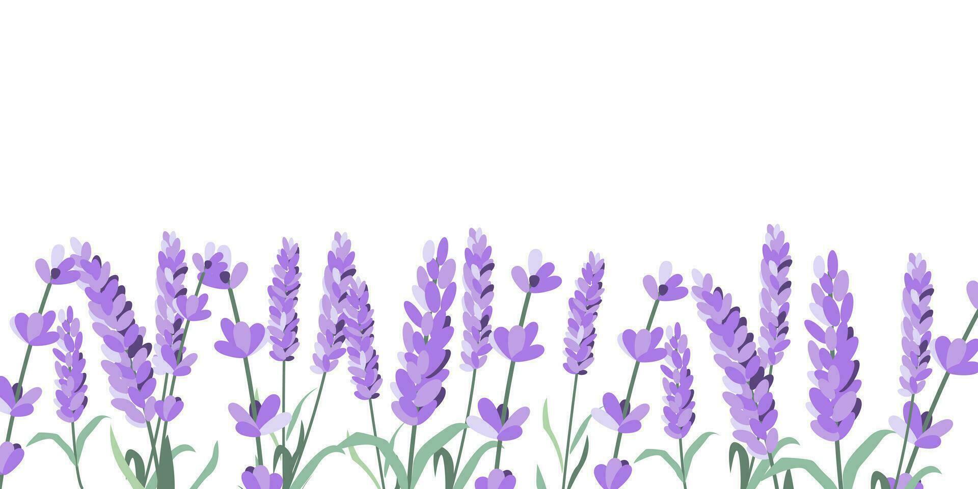 Lavender flowers elements. Lavender background. Collection of lavender flowers vector