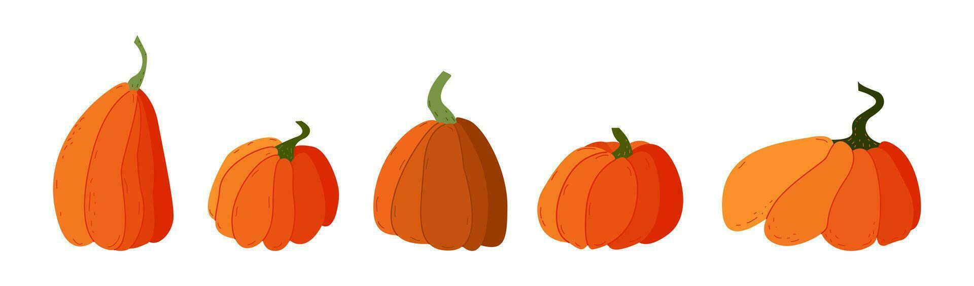Orange pumpkin set different shapes. Autumn halloween pumpkin, vegetable graphic icon or print vector