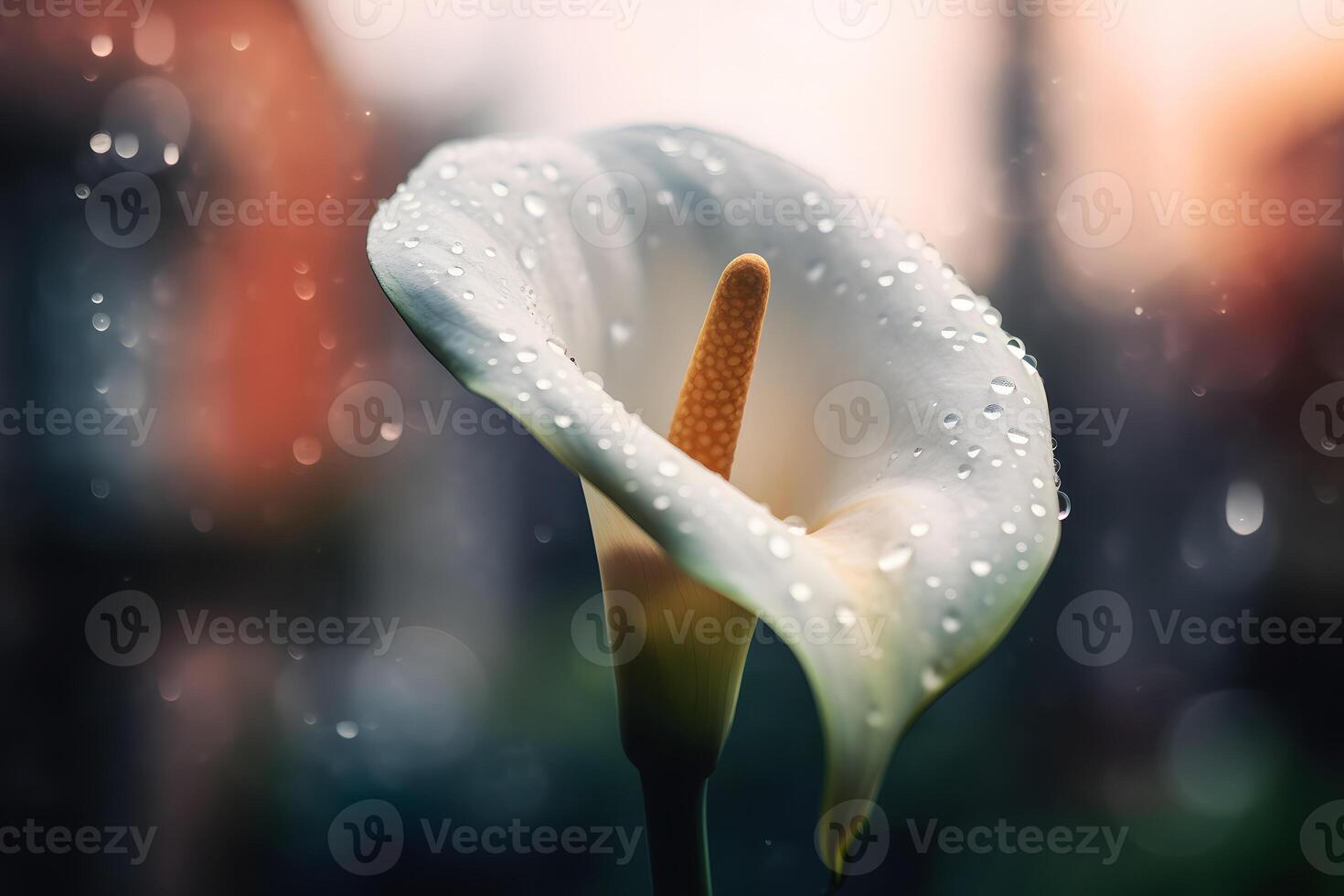 Calla lily flowers in botanical garden. Neural network photo