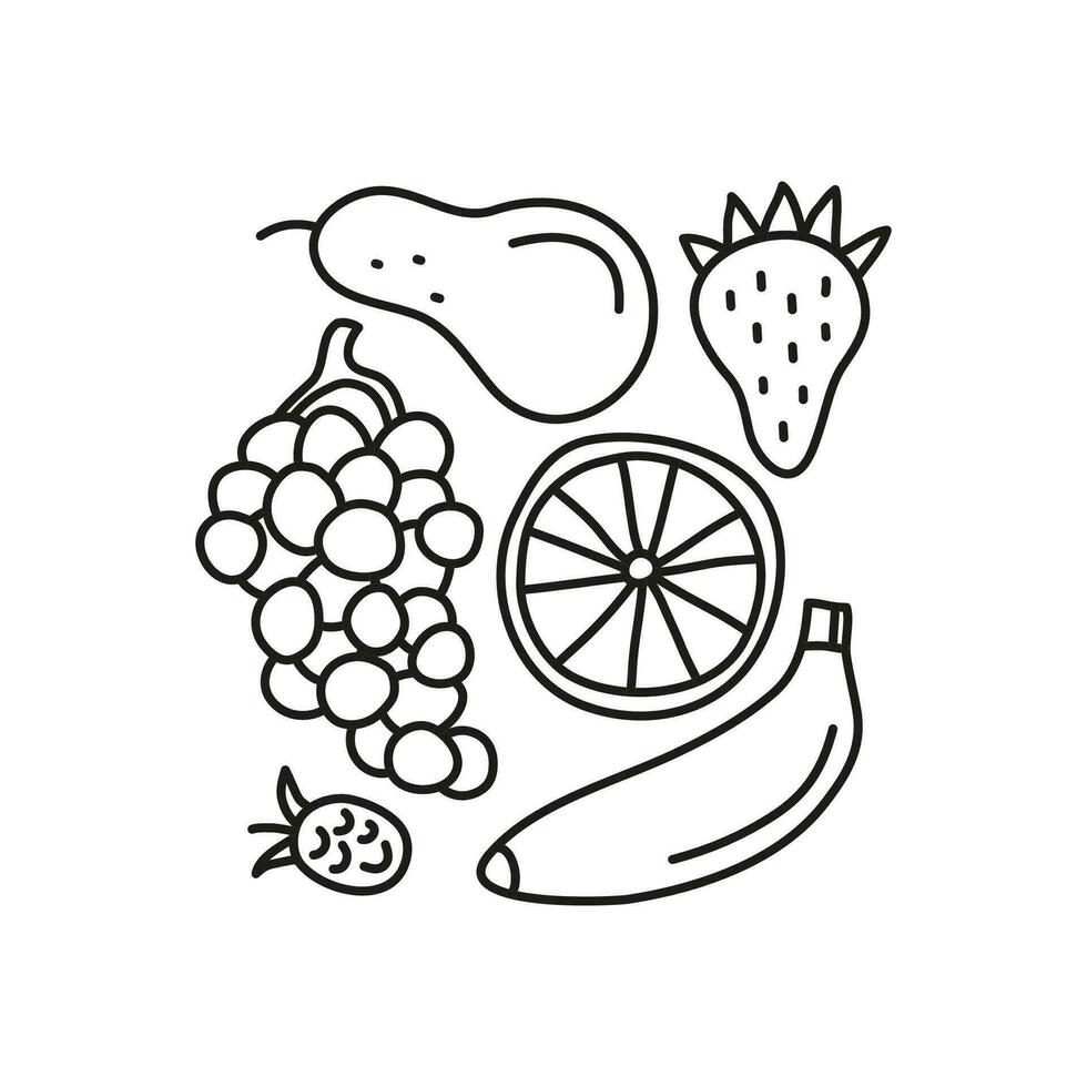 Group of fruits and berries. vector