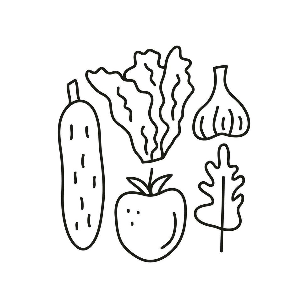 Group of doodle vegetables. vector