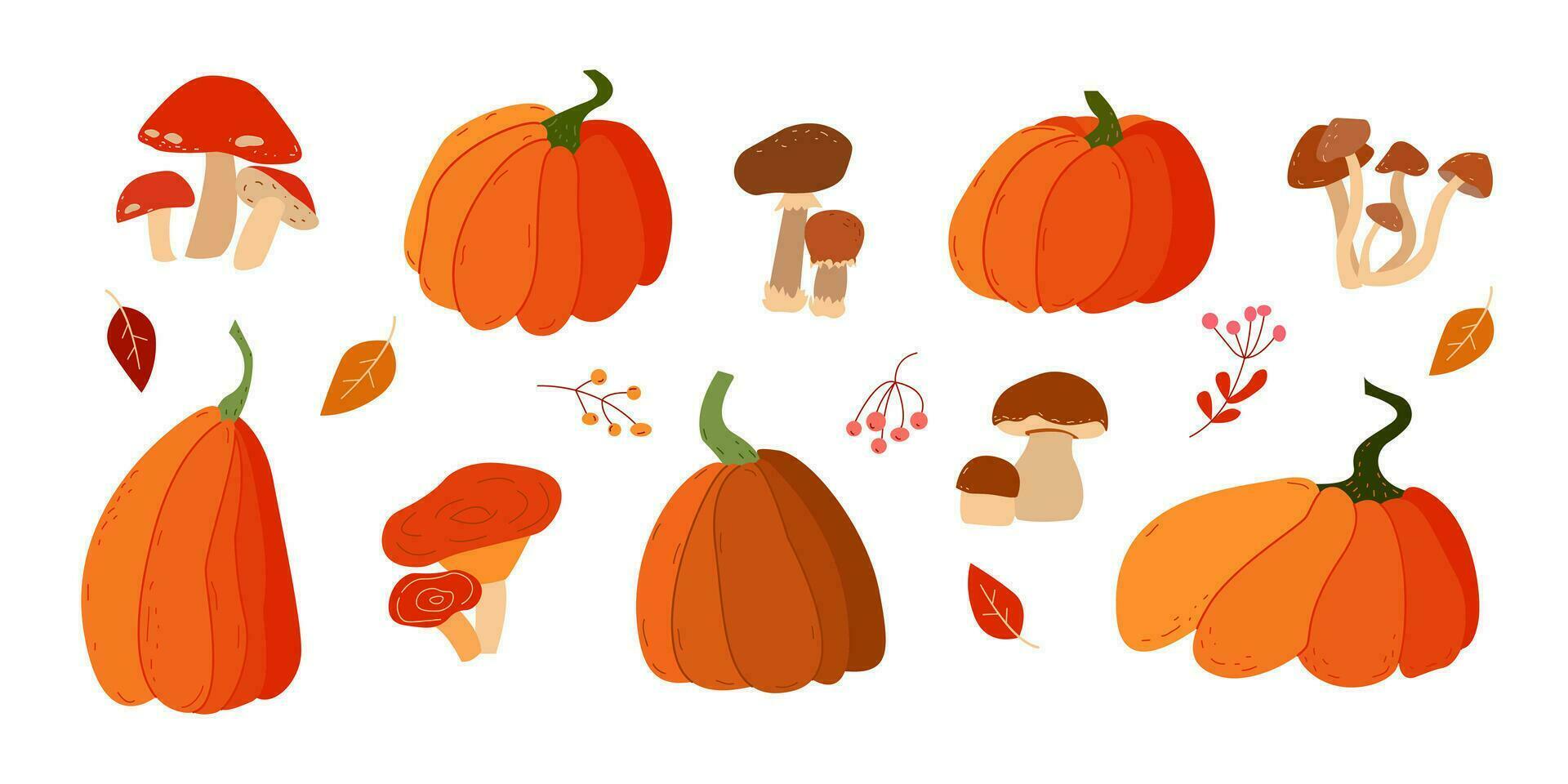 Autumn illustration set with mushrooms and pumpkins. Autumn set vector