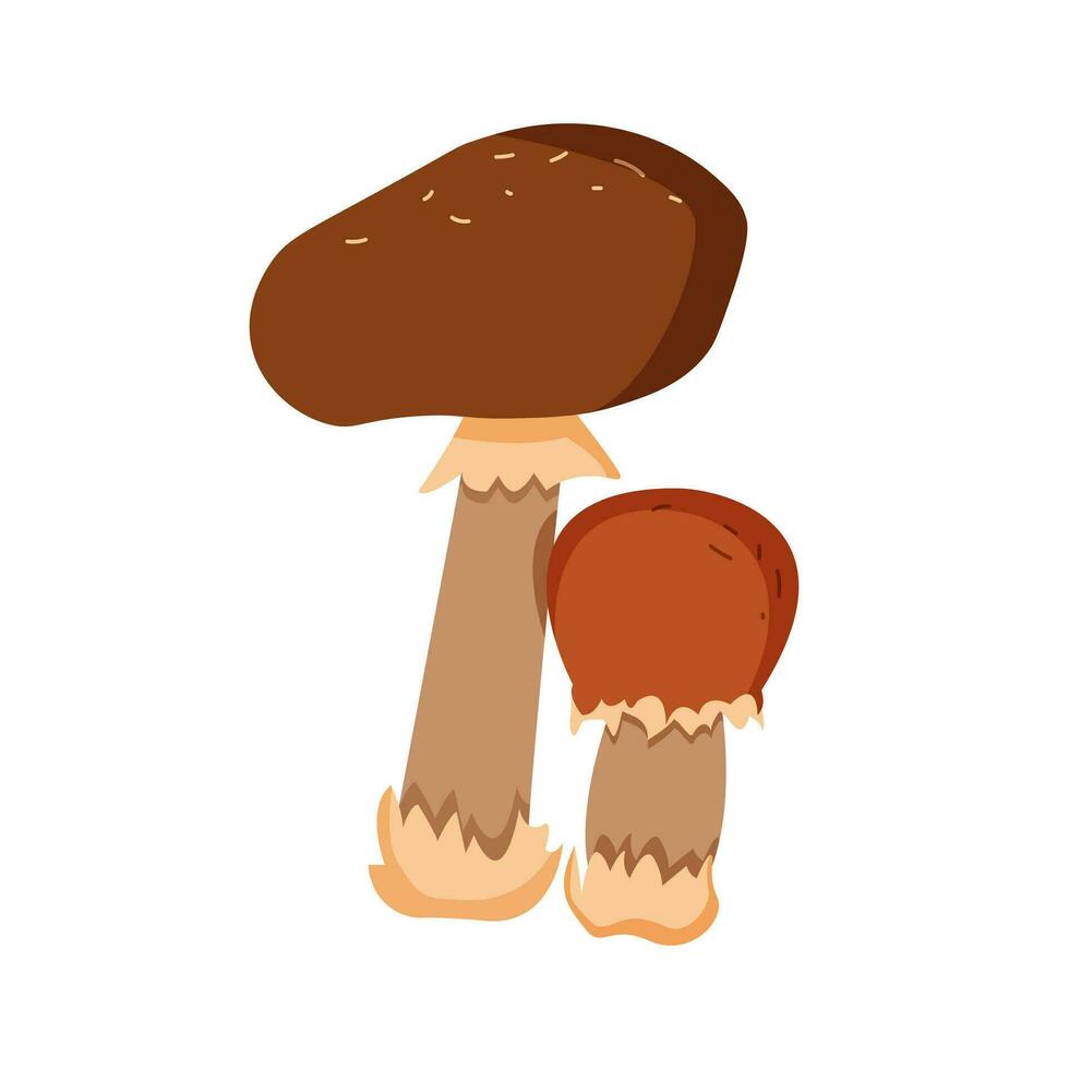 Cartoon mushrooms. Forest wild mushrooms vector