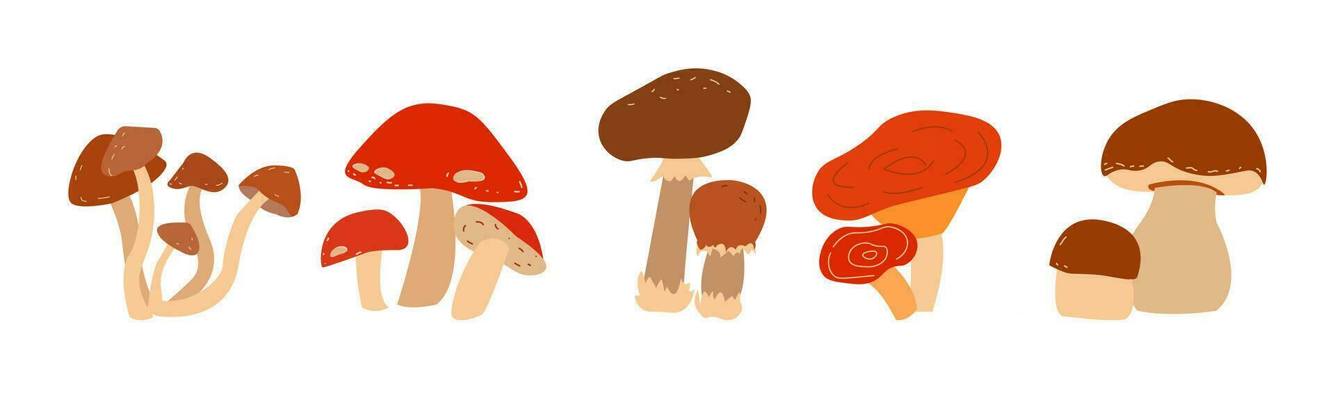 Set with mushrooms on white background. Happy harvest. vector