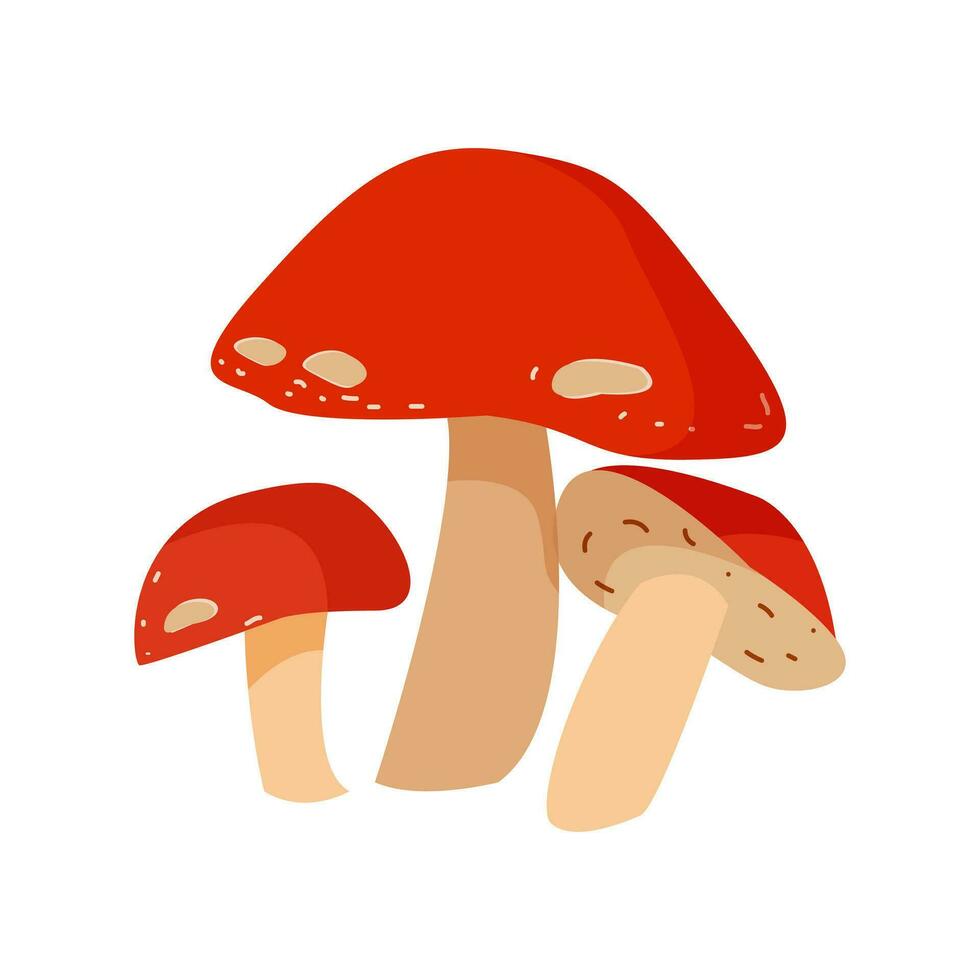 Mushrooms plants. Realistic natural foods vector