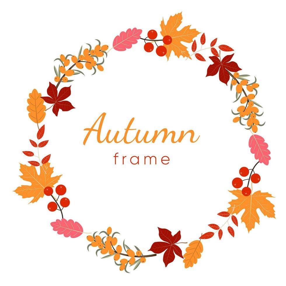 Autumn seasonals frame with autumn leaves and berries in fall colors.Autumn greetings cards vector