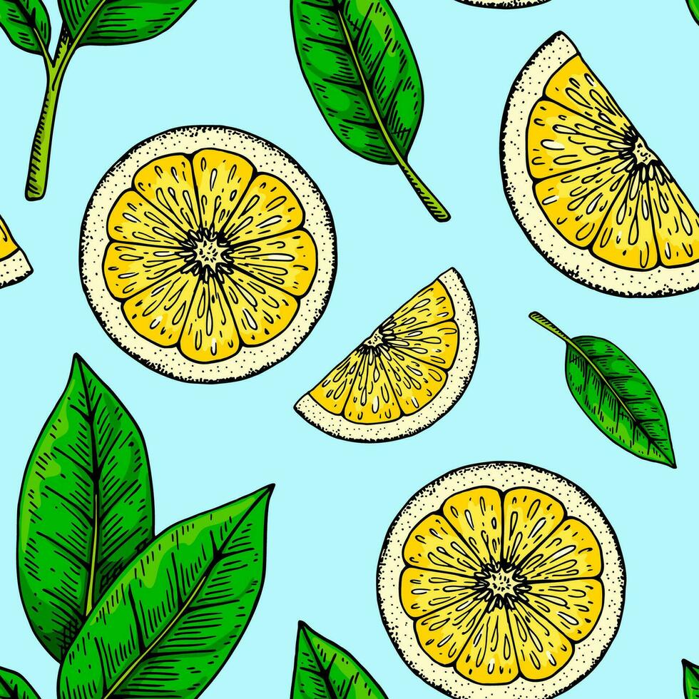 Lemon slice seamless pattern. Colorful hand drawn vector illustration in sketch style. Tropical exotic citrus fruit summer background