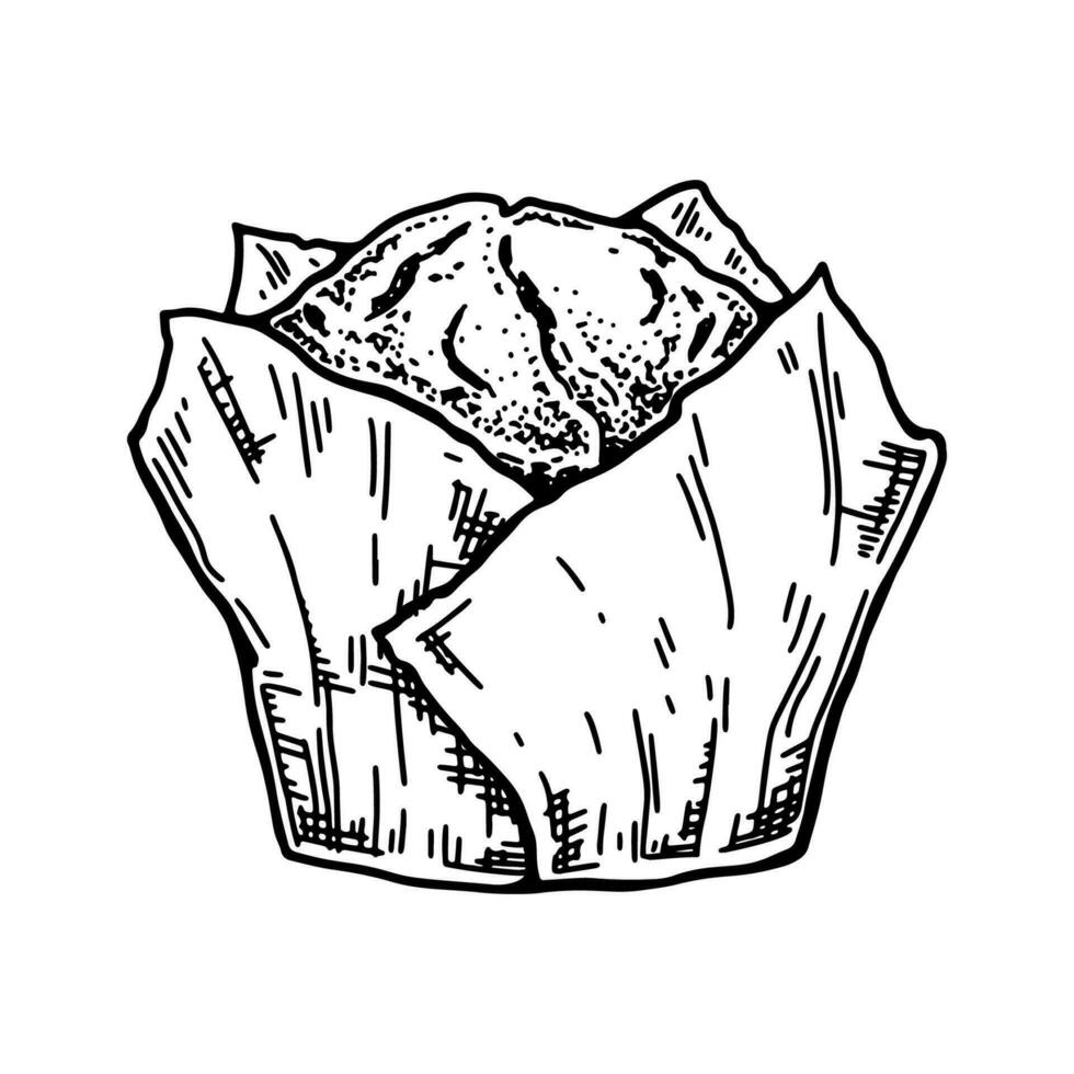 Muffin in craft paper. Vintage vector illustration in sketch style. Hand drawn cupcake. Bakery product