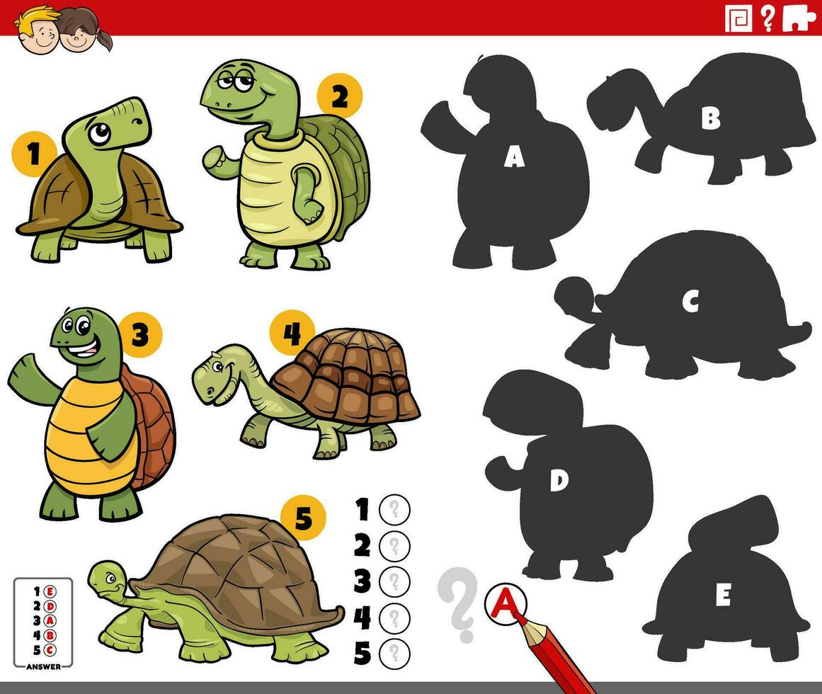 shadows game with comic turtles animal characters vector