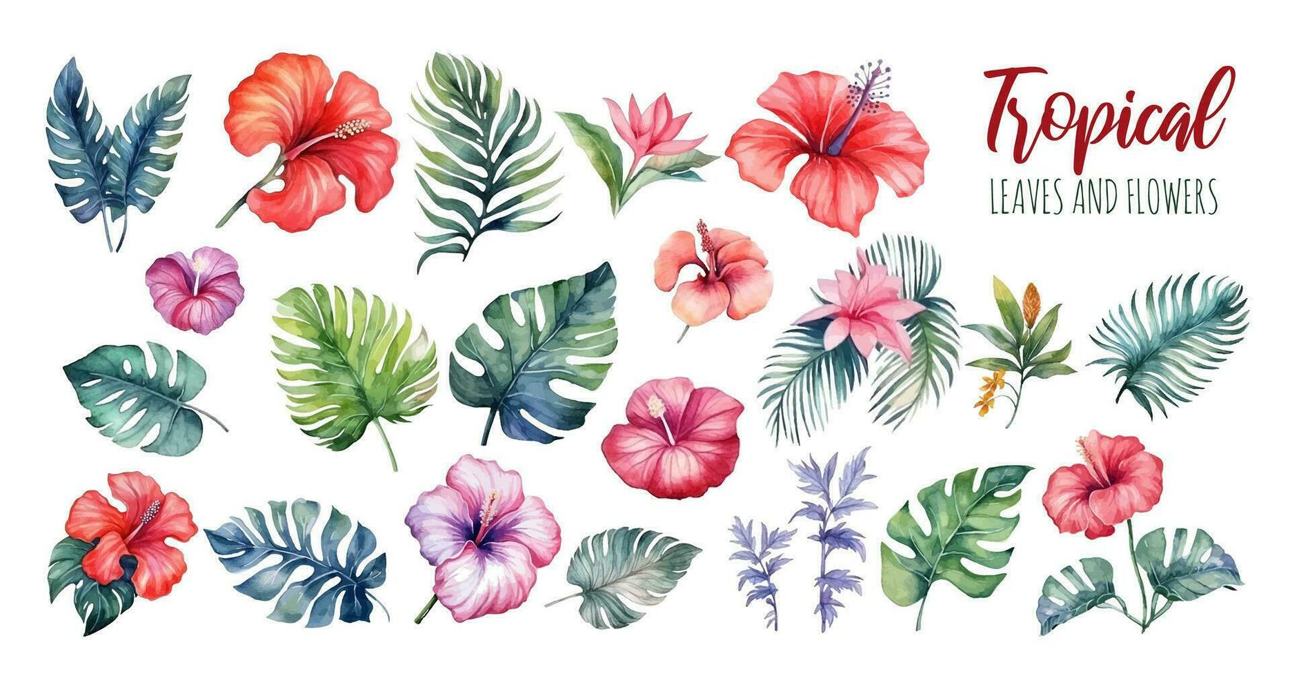 Hand drawn watercolor tropical plants set . Exotic palm leaves, jungle tree, tropic botany elements and flowers. Perfect for fabric design, webdesign, banner and backgrounds. vector