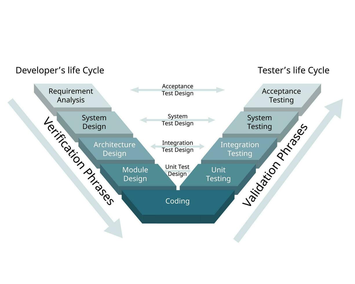 el validación y verificación software desarrollo proceso modelo para el v forma modelo vector