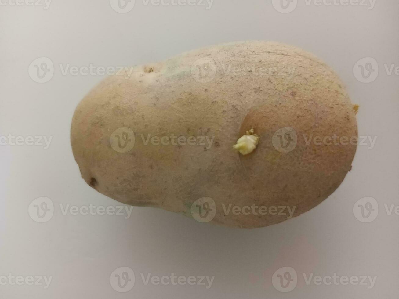 Potatoes on a white background, close-up, top view photo