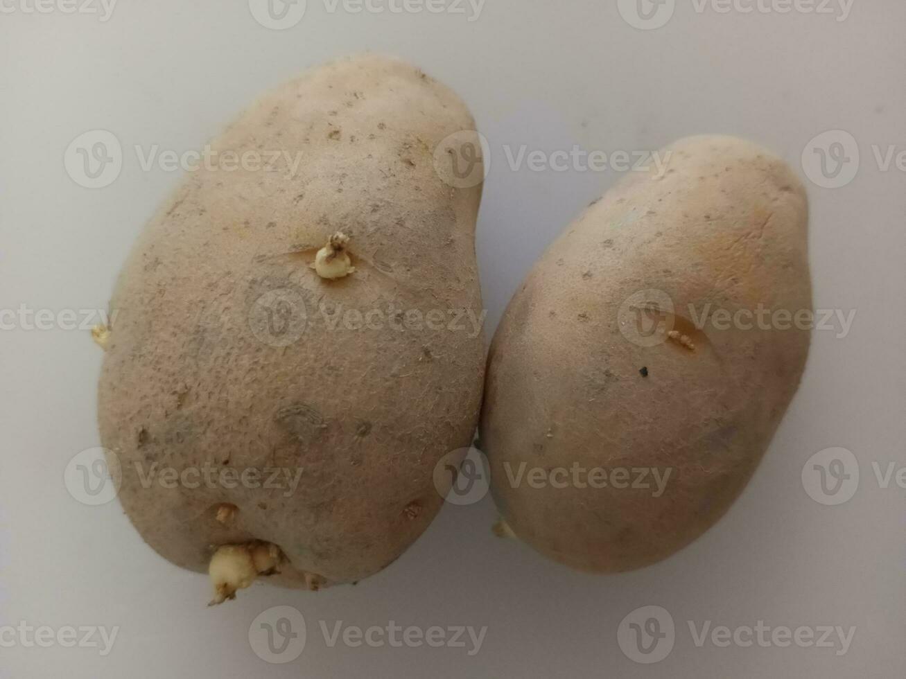 Potatoes on a white background, close-up, top view photo
