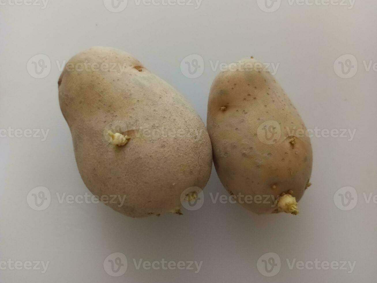 Potatoes on a white background, close-up, top view photo