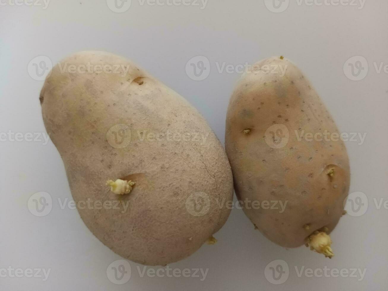 Potatoes on a white background, close-up, top view photo