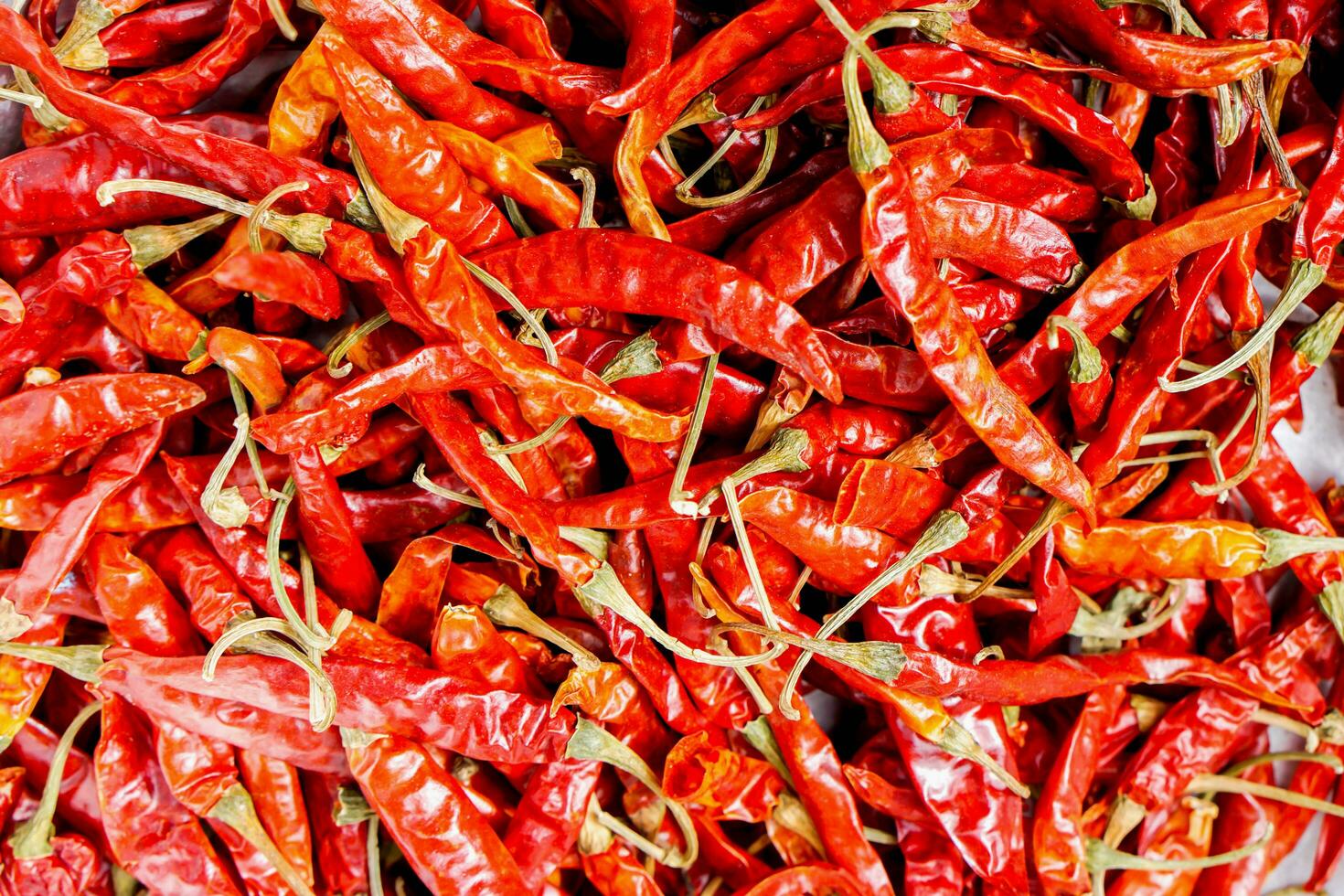 Background and texture of dried chilli. photo