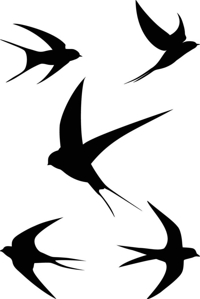 Flying swallow birds silhouette illustrations, isolated on white vector