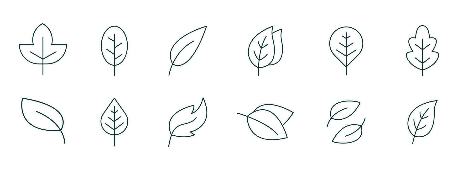 Leaf icon line. Vector illustrations of botany, herbal, ecology, bio, organic, vegetarian, eco, fresh, and natural icon set