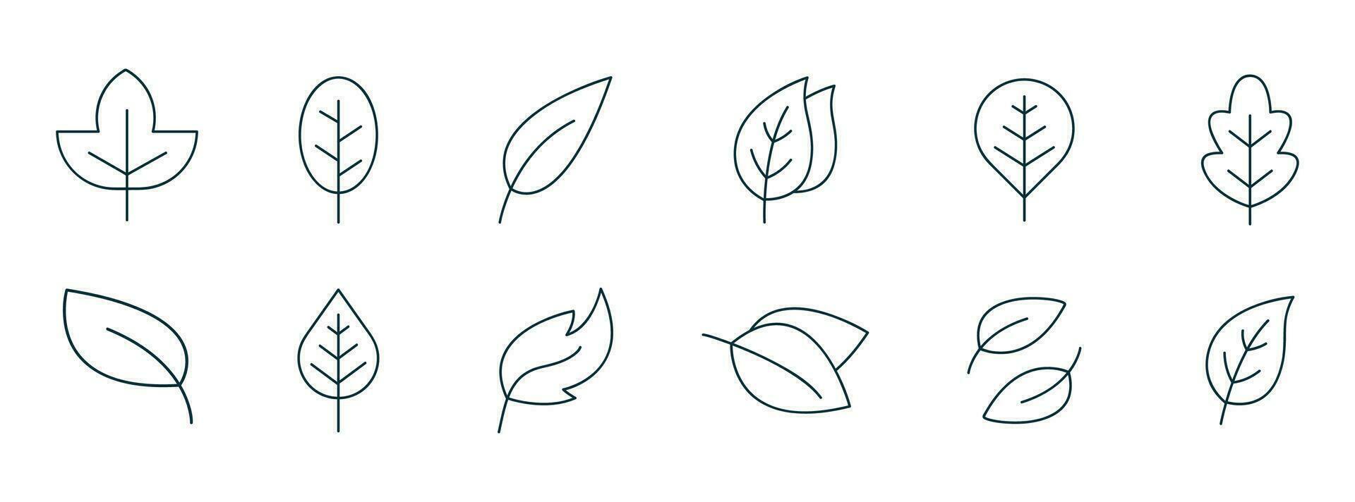 Leaf icon line. Vector illustrations of botany, herbal, ecology, bio, organic, vegetarian, eco, fresh, and natural icon set