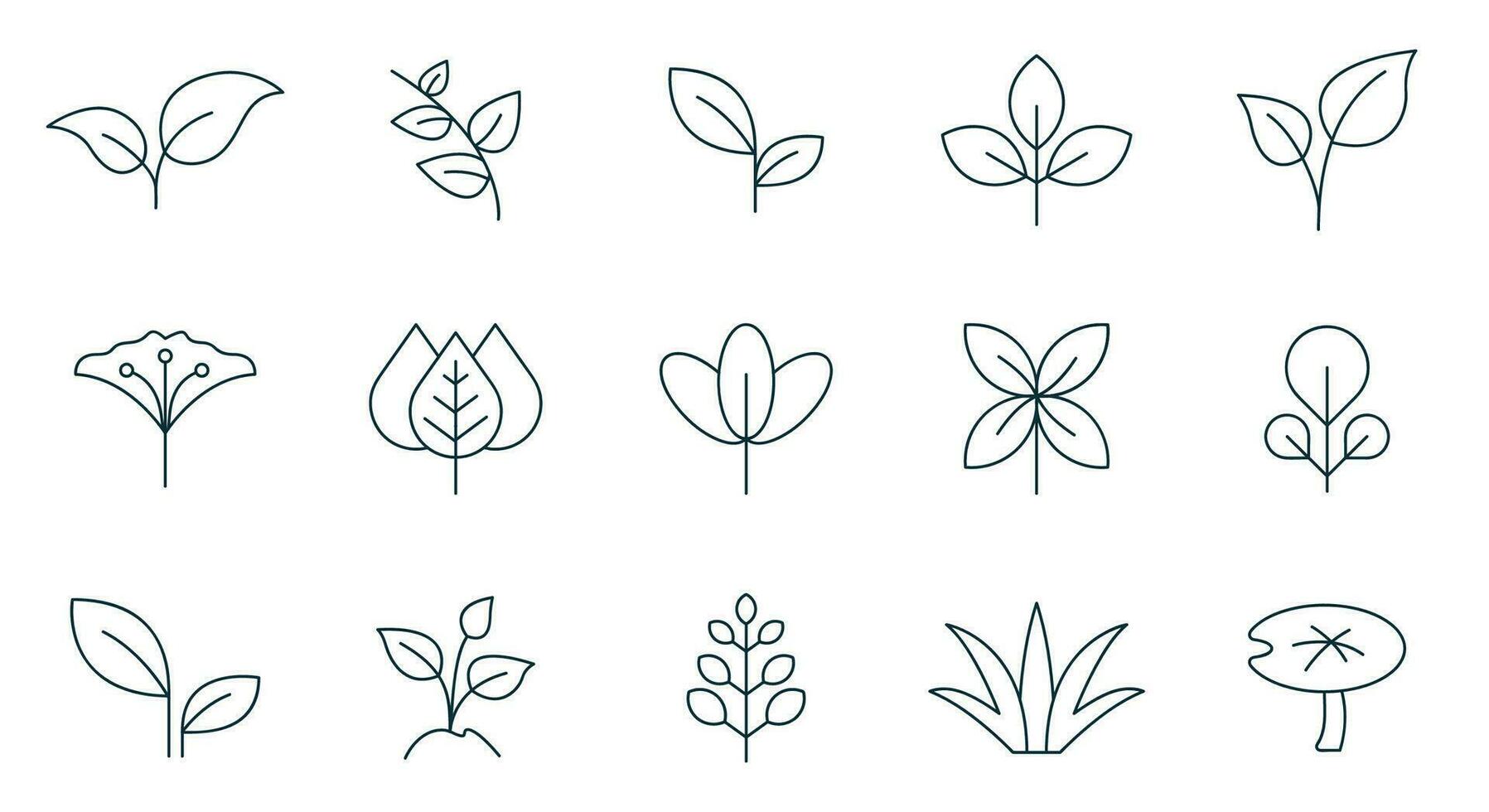 hoja icono conjunto línea estilo. hojas de arboles y plantas, hojas icono recopilación, diseño para natural, ecológico, biografía, y vegano etiquetas. vector ilustración.