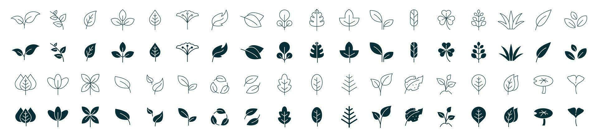 hoja icono conjunto línea y llenar. hojas de arboles y plantas, hojas icono recopilación, diseño para natural, ecológico, biografía, y vegano etiquetas. vector ilustración.