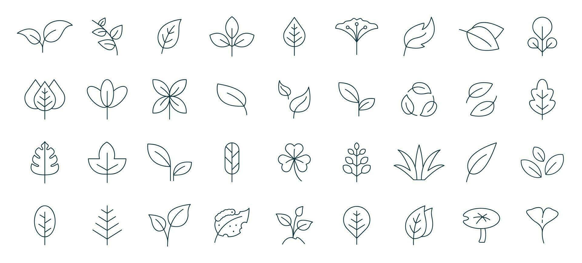 hoja icono conjunto línea estilo. hojas de arboles y plantas, hojas icono recopilación, diseño para natural, ecológico, biografía, y vegano etiquetas. vector ilustración.