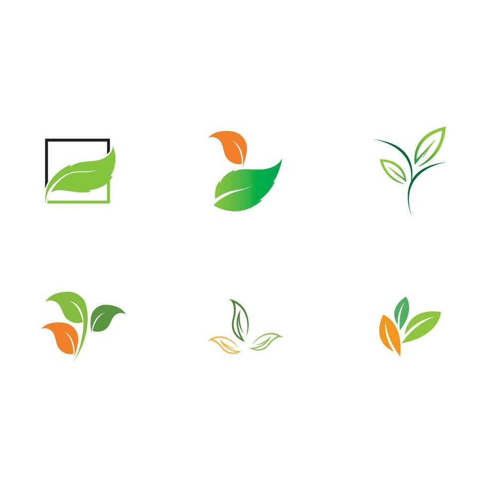 collection leaf logo vector