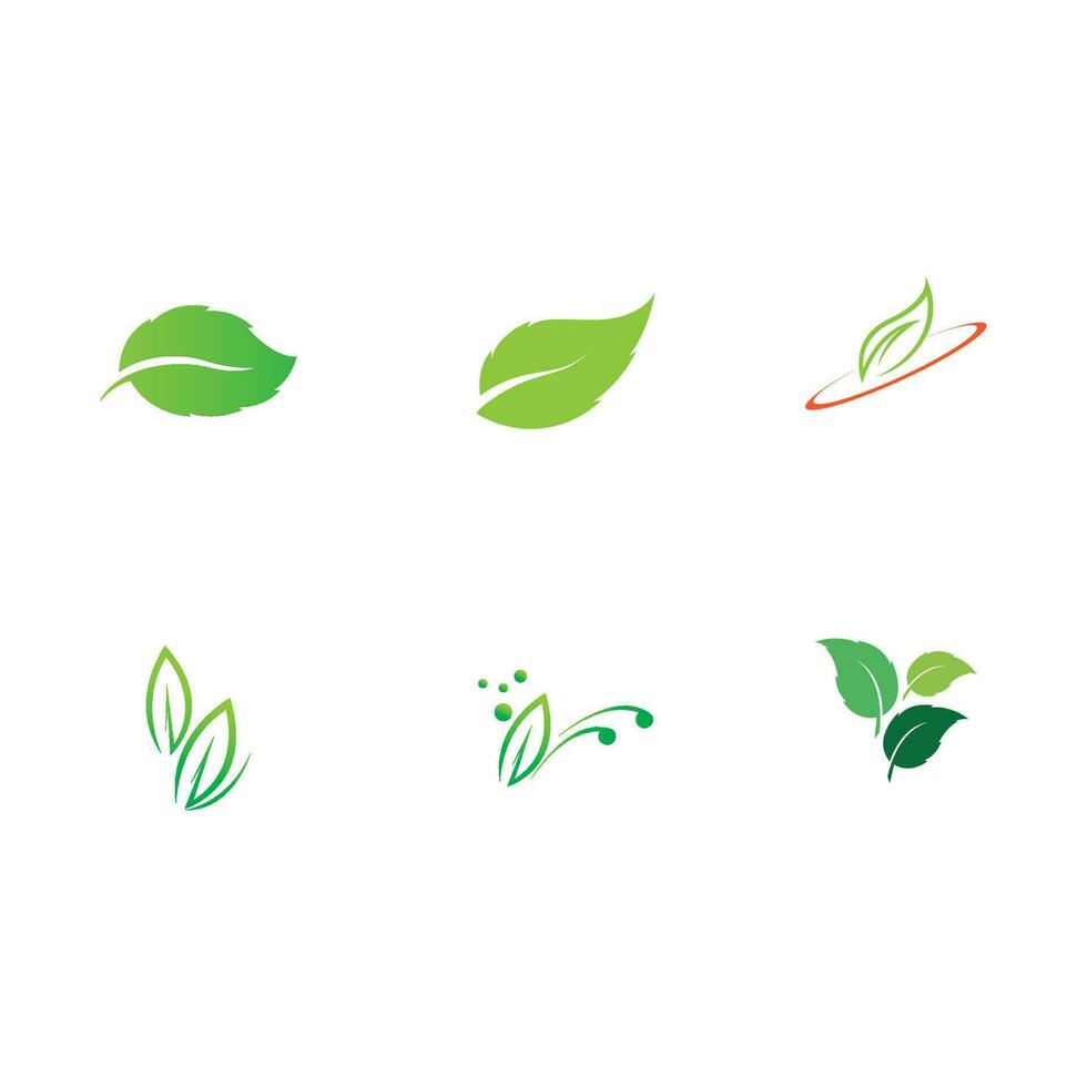 collection leaf logo vector