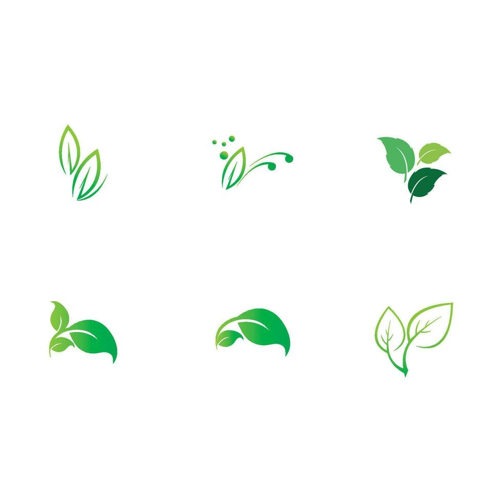 collection leaf logo vector