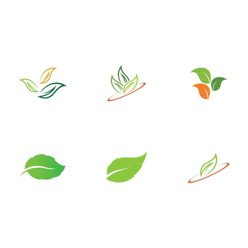 collection leaf logo vector