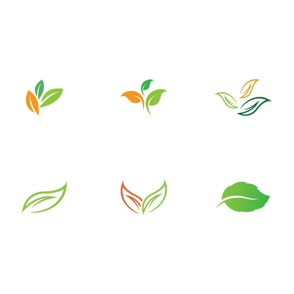 collection leaf logo vector