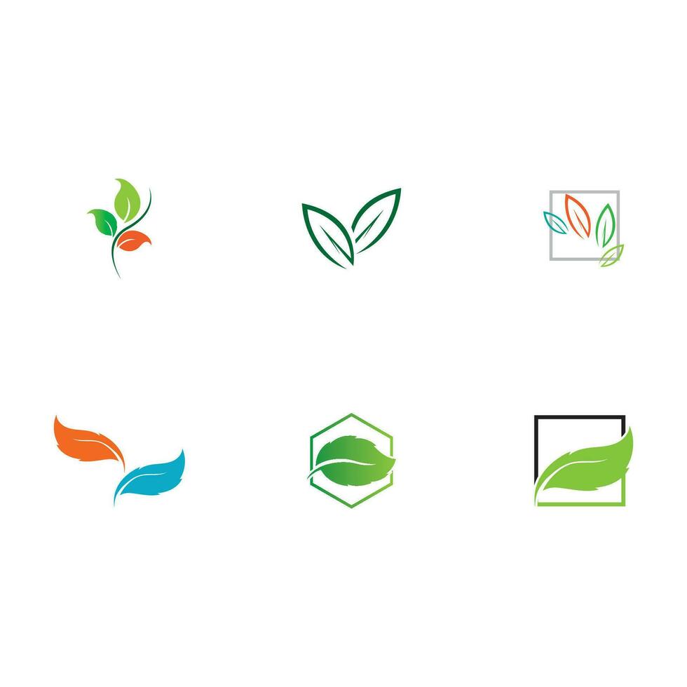 collection leaf logo vector