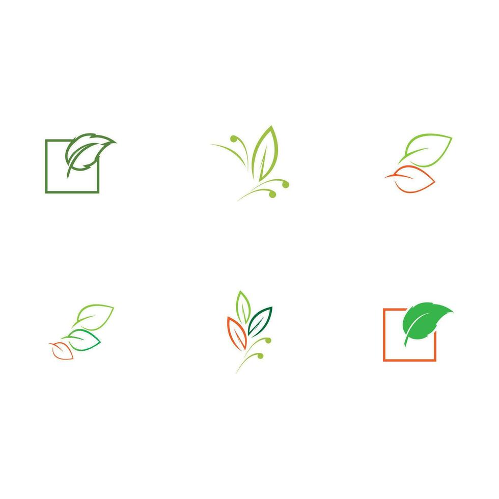 collection leaf logo vector