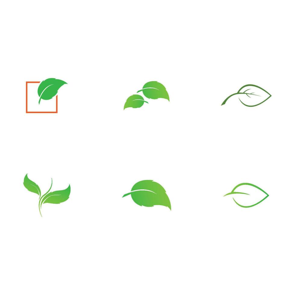 collection leaf logo vector