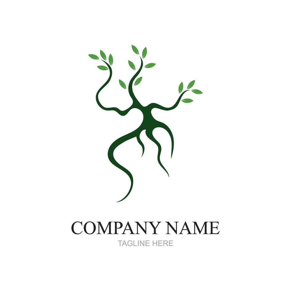 Mangrove trees and mangrove Forest Ecology Logo design vector