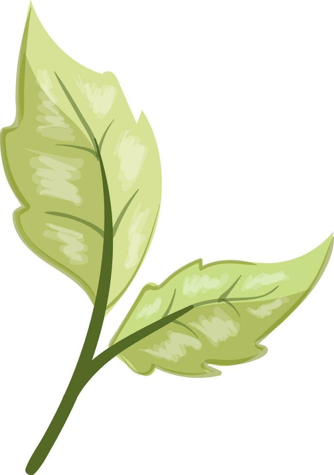 leaves art design illustration vector