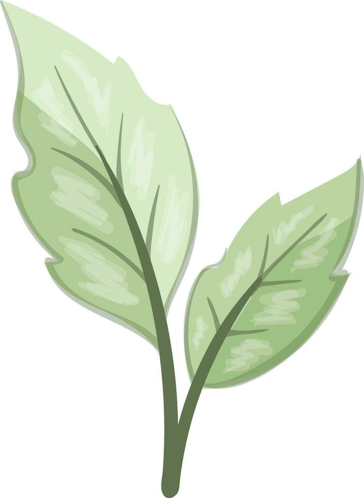 leaves art design illustration vector