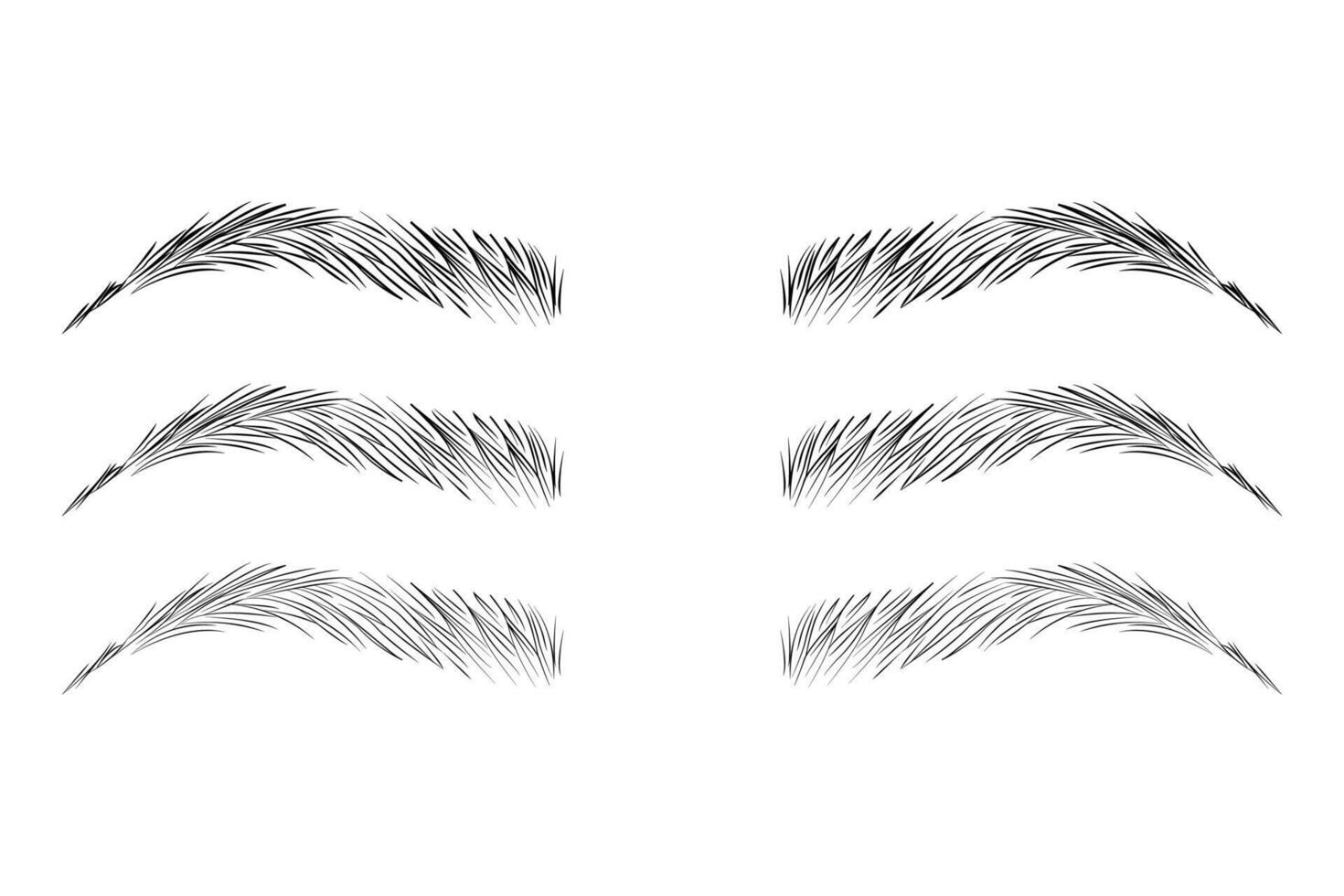 Eyebrow shape set, Fashion eyebrows of various shapes and types, Brown eyebrow bag, Brown eyebrows isolated on white background, Brown eyebrow vector