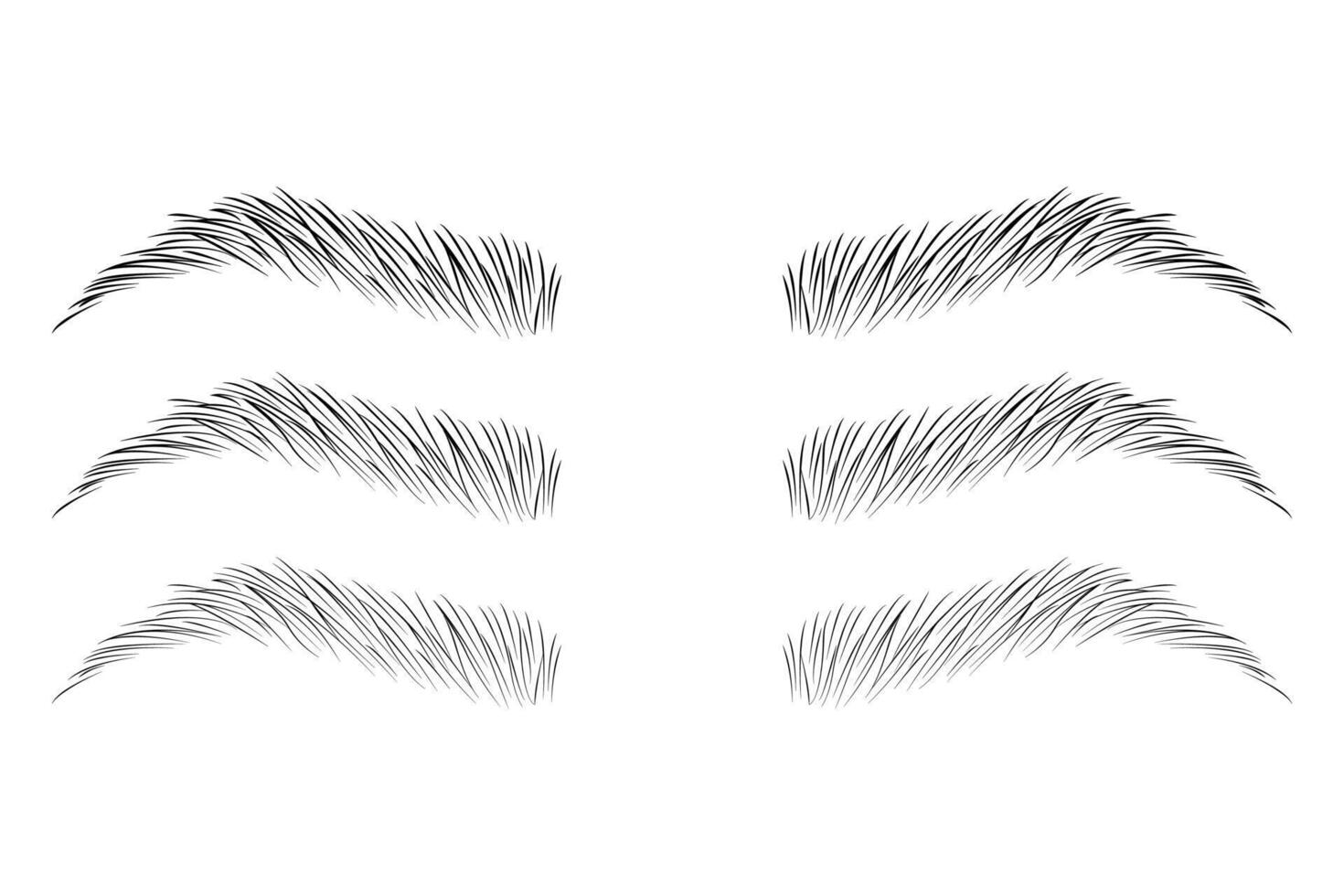 Eyebrow shape set, Fashion eyebrows of various shapes and types, Brown eyebrow bag, Brown eyebrow vector, Brown eyebrows isolated on white background vector