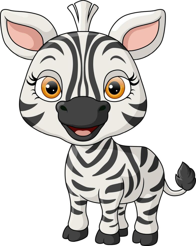 Cute baby zebra cartoon on white background vector