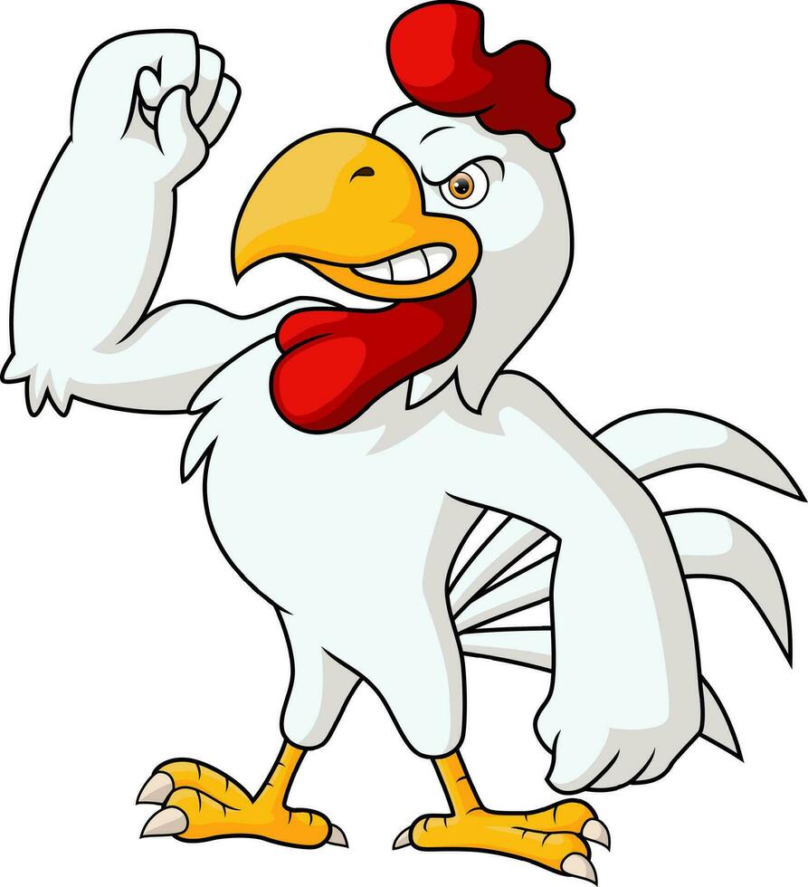 linda muscular gallo dibujos animados en blanco antecedentes vector